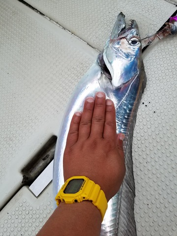 遊漁船　ニライカナイ 釣果