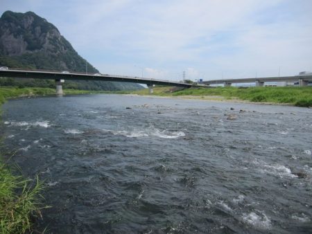 狩野川(狩野川漁業協同組合) 釣果