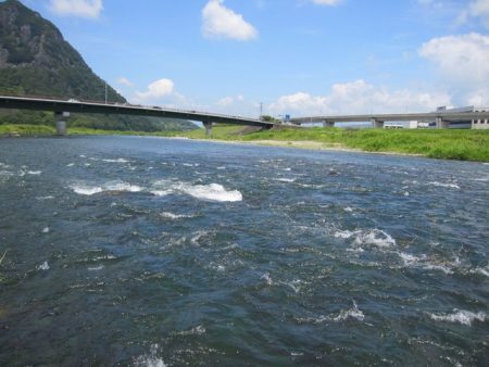 狩野川(狩野川漁業協同組合) 釣果
