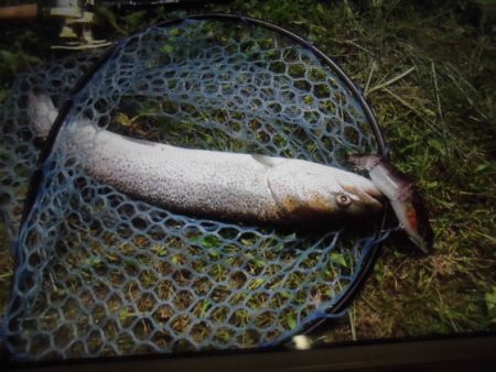 高萩ふれあいの里フィッシングエリア 釣果