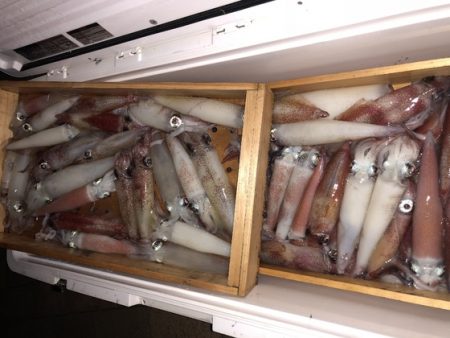 幸風（さちかぜ） 釣果