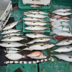 清和丸 釣果