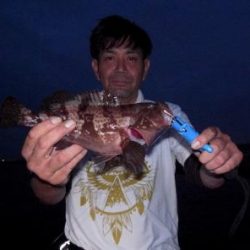 シーマジカル 釣果