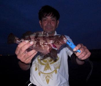 シーマジカル 釣果