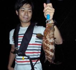 シーマジカル 釣果