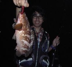 シーマジカル 釣果