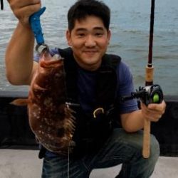 シーマジカル 釣果