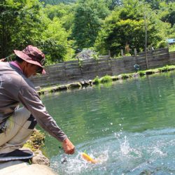 小菅トラウトガーデン 釣果