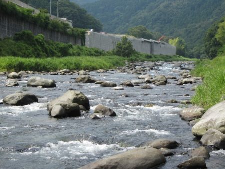 狩野川(狩野川漁業協同組合) 釣果