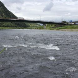 狩野川(狩野川漁業協同組合) 釣果