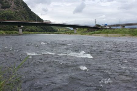 狩野川(狩野川漁業協同組合) 釣果