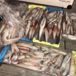 寿裕 （YOSHIHIRO） 釣果