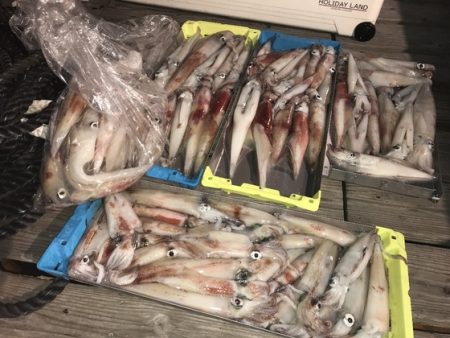 寿裕 （YOSHIHIRO） 釣果