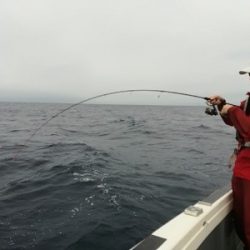 IDATEN(イダテン) 釣果