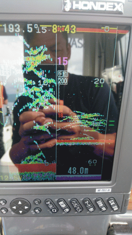 遊漁船ブルーウッズ 釣果
