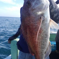 遊漁船 新鋭丸 釣果