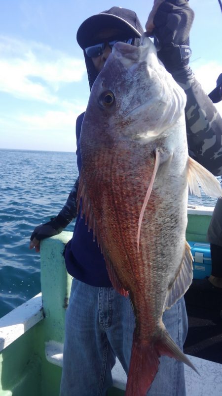 遊漁船 新鋭丸 釣果