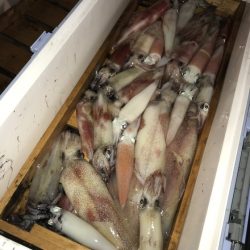 寿裕 （YOSHIHIRO） 釣果