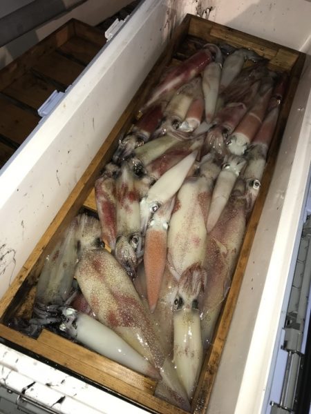 寿裕 （YOSHIHIRO） 釣果