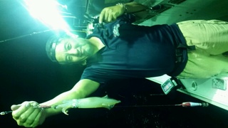 ディープ オーシャン 釣果