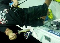 ディープ オーシャン 釣果