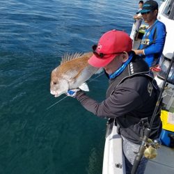 遊漁船 ニライカナイ 釣果