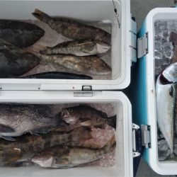 気仙沼　つり丸 釣果