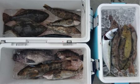 気仙沼　つり丸 釣果