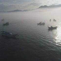 遊漁船 ニライカナイ 釣果