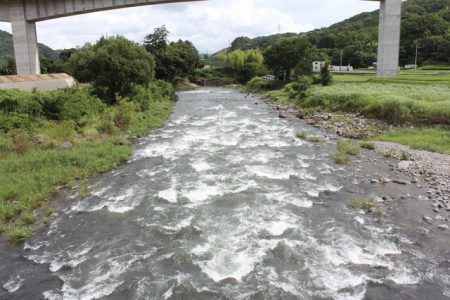 狩野川(狩野川漁業協同組合) 釣果