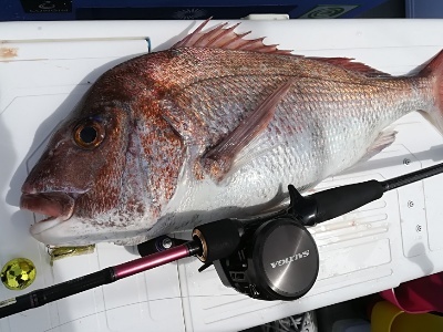 IDATEN（イダテン） 釣果