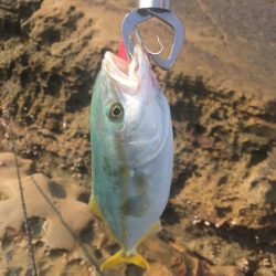 長崎県 ショアスロー　現場に着いたら真っ先にやる事は！？　【ずん氏連載 vol.1】