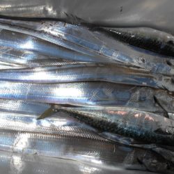 こうゆう丸 釣果