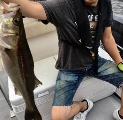 シーマジカル 釣果