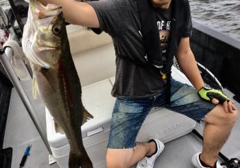 シーマジカル 釣果