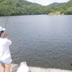 フィッシングレイクたかみや 釣果