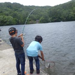 フィッシングレイクたかみや 釣果