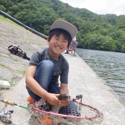 フィッシングレイクたかみや 釣果