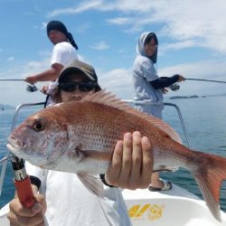 Magic（マジック） 釣果