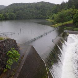 フィッシングレイクたかみや 釣果
