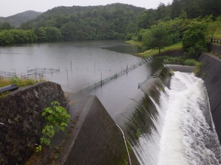 フィッシングレイクたかみや 釣果