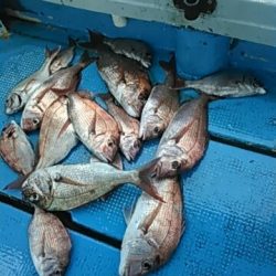 フィッシングガイド りょう 釣果