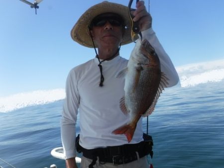 遊漁船 幸友丸 釣果