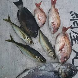 網屋丸 釣果