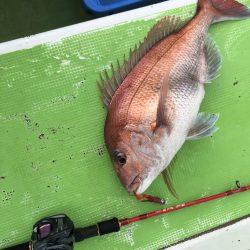 網屋丸 釣果