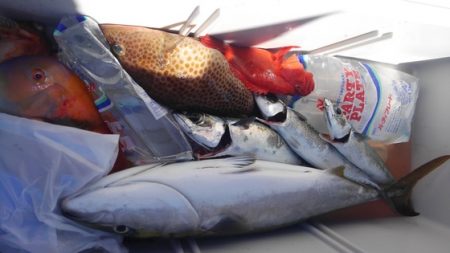 遊漁船 新鋭丸 釣果