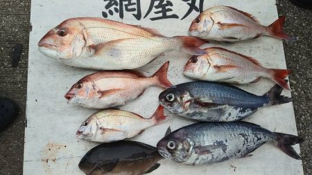 網屋丸 釣果
