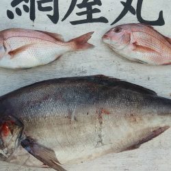 網屋丸 釣果