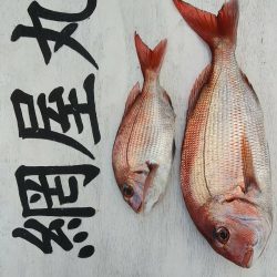 網屋丸 釣果