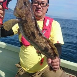 気仙沼　つり丸 釣果